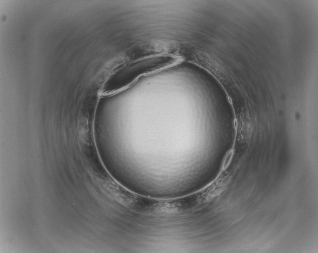 X0000070380656200606121254