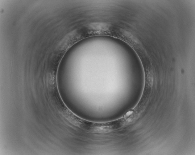 X0000070380657200606121254