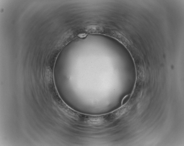 X0000070380659200606121254