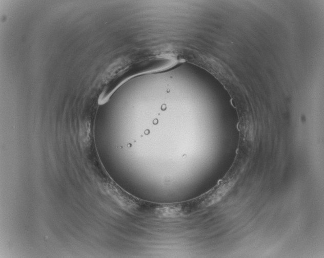 X0000070380660200606121254