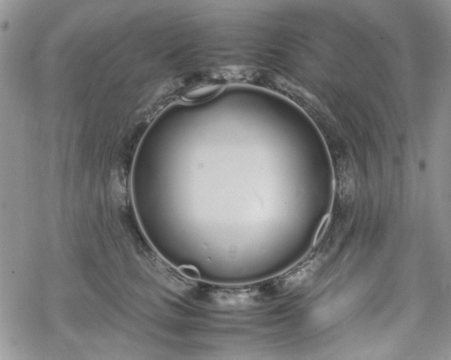 X0000070380661200606121254