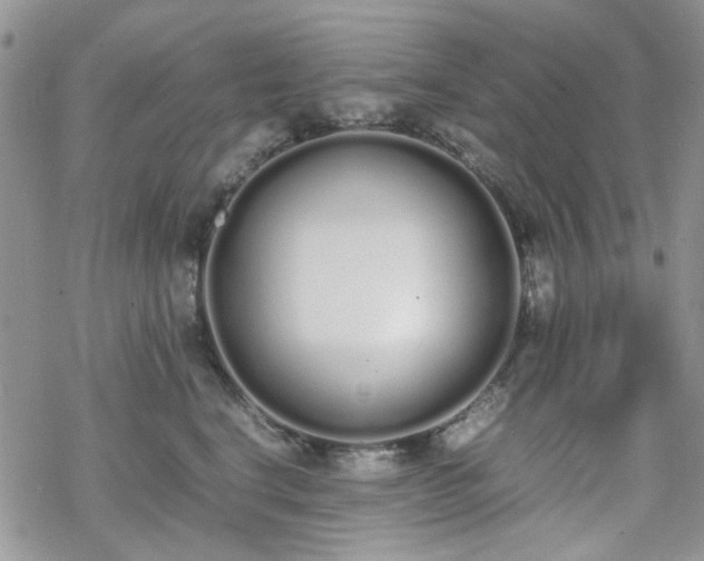 X0000070380664200606121254