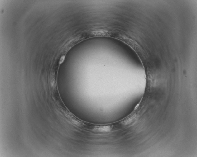 X0000070380665200606121254