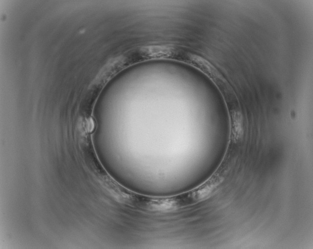 X0000070380667200606121254