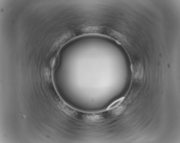 X0000070380669200606121254