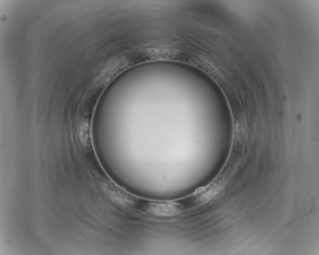 X0000070380671200606121254