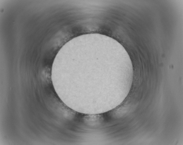 X0000070380672200606121254