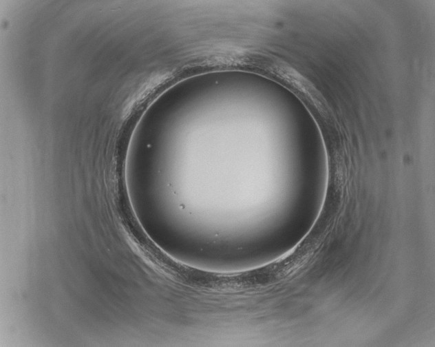 X0000070380677200606121253