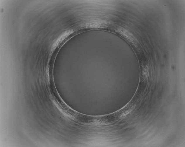 X0000070380678200606121253