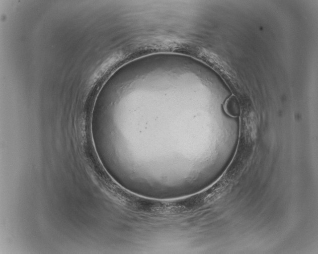 X0000070380679200606121253