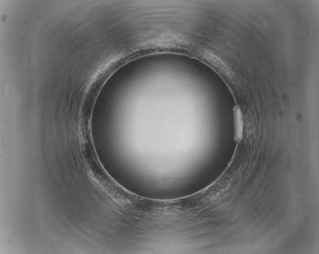 X0000070380680200606121253