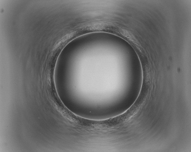 X0000070380681200606121253