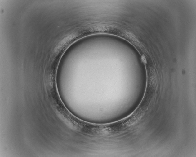 X0000070380683200606121253