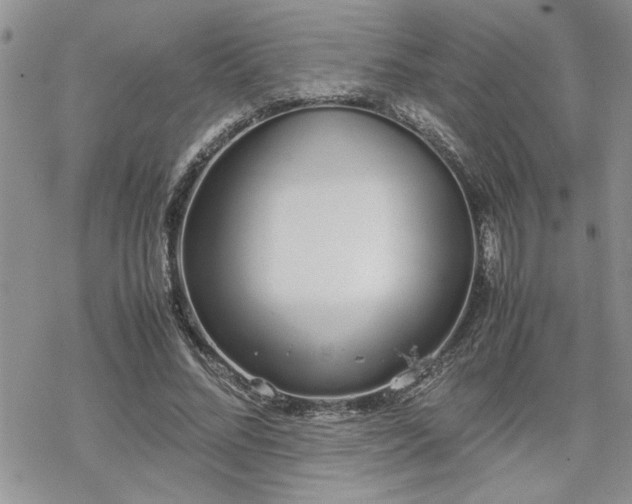 X0000070380684200606121253