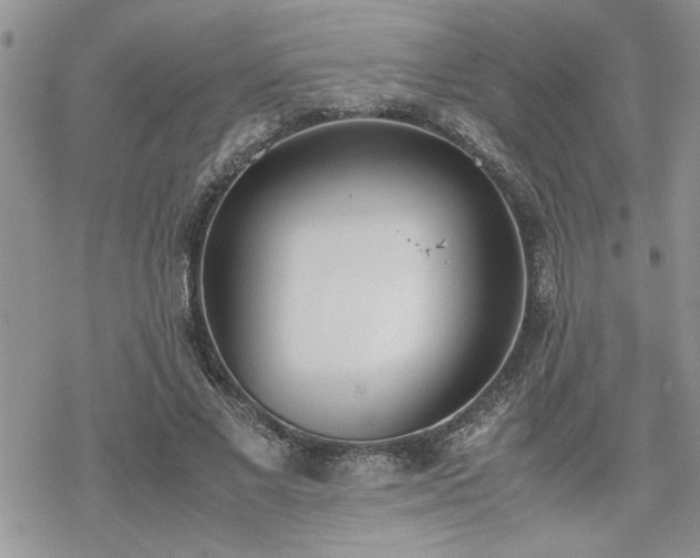 X0000070380685200606121253