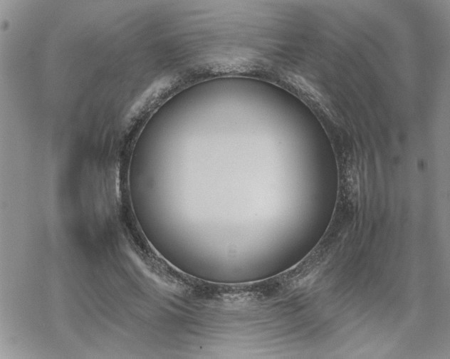 X0000070380686200606121253