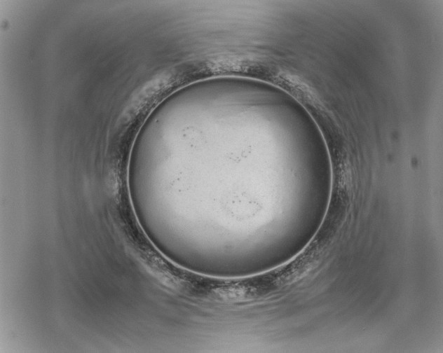 X0000070380687200606121253