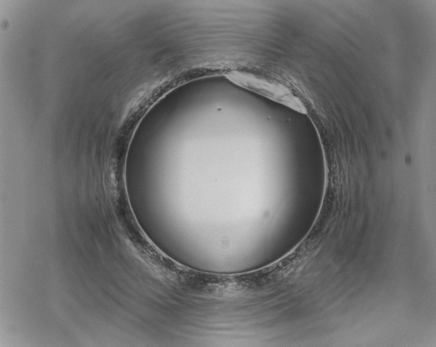 X0000070380688200606121253