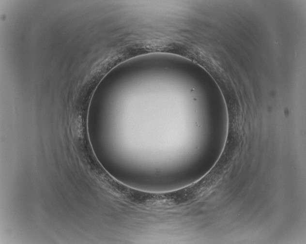 X0000070380689200606121253