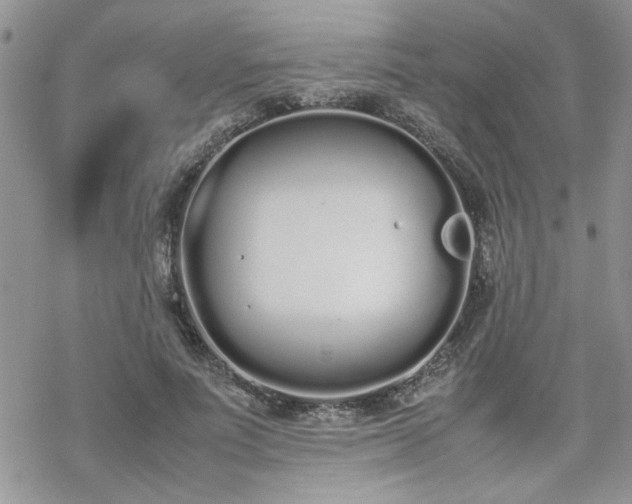 X0000070380691200606121253