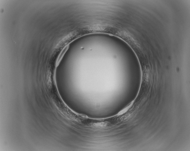 X0000070380692200606121253