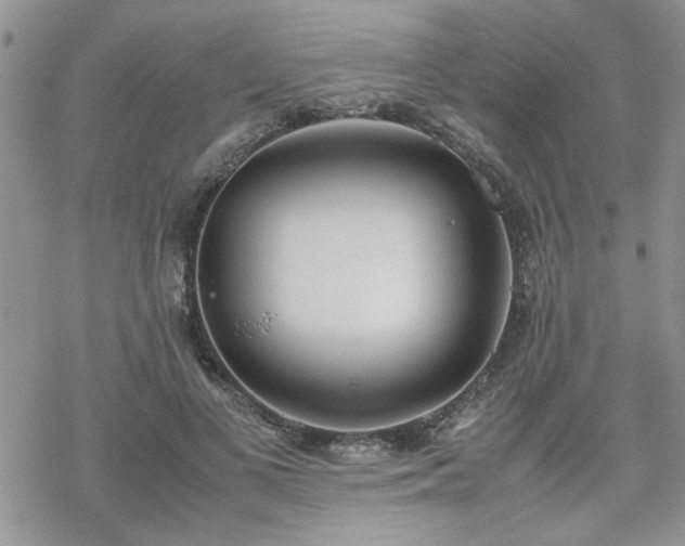 X0000070380693200606121253