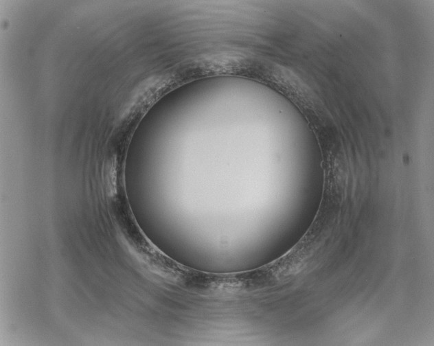 X0000070380694200606121253