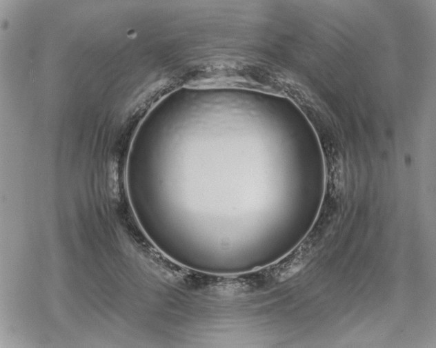 X0000070380696200606121253