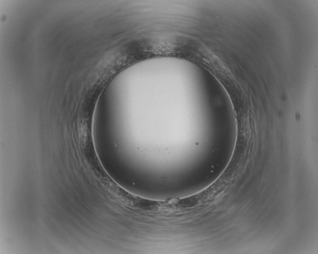 X0000070380697200606121253