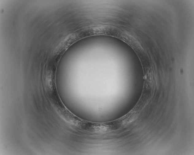 X0000070380698200606121253