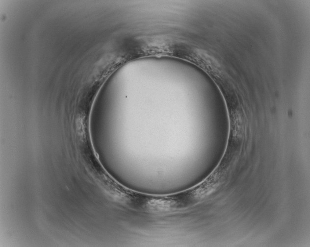 X0000070380699200606121253