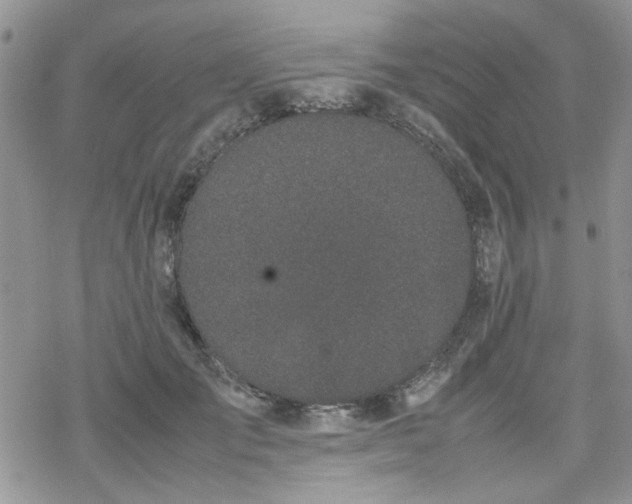 X0000070380701200606121253