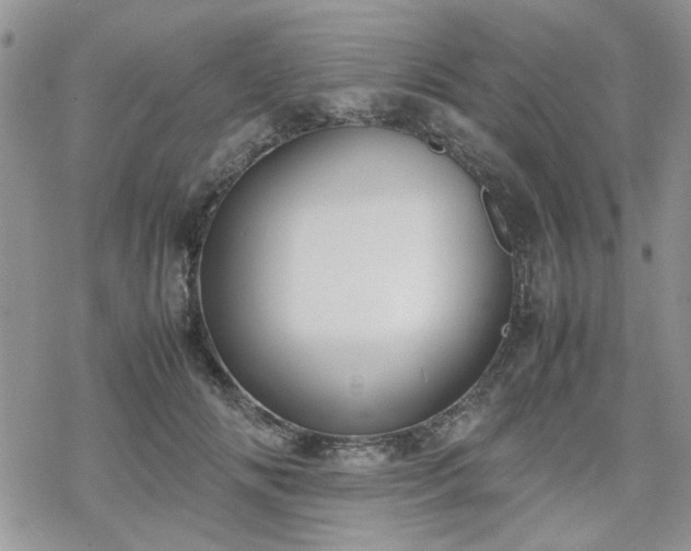 X0000070380702200606121253