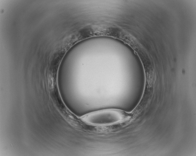 X0000070380703200606121253