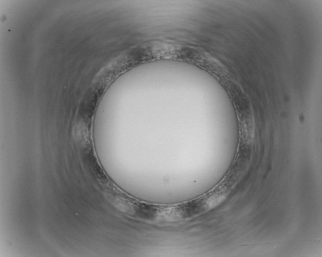 X0000070380705200606121253