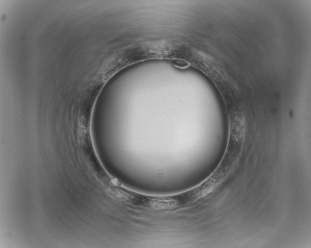 X0000070380707200606121253