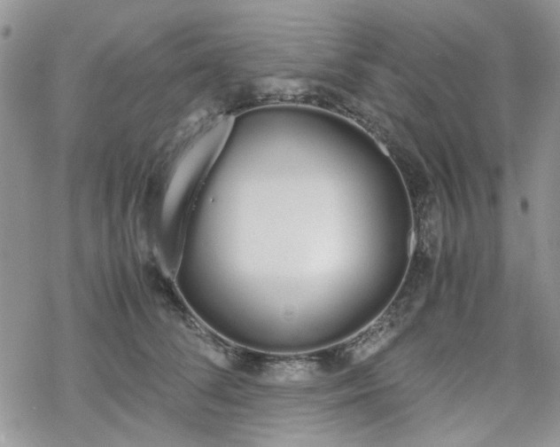 X0000070380708200606121253