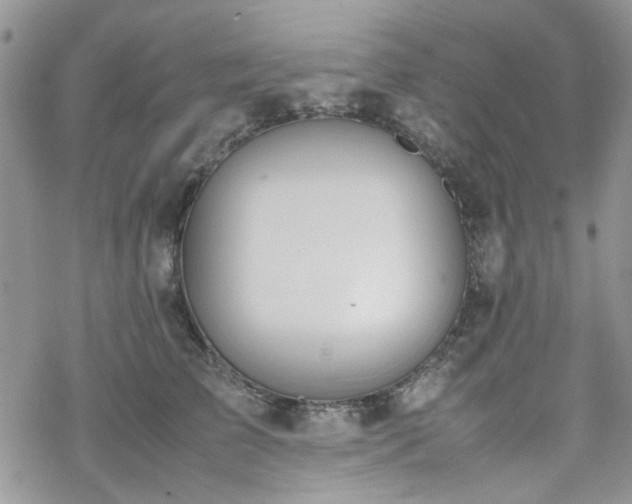 X0000070380709200606121253