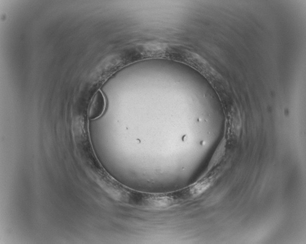 X0000070380711200606121253