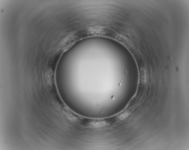 X0000070380712200606121253