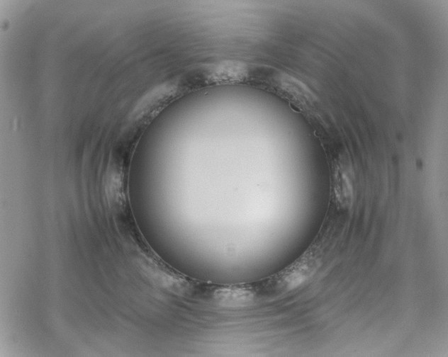 X0000070380714200606121253