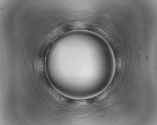 X0000070380715200606121253