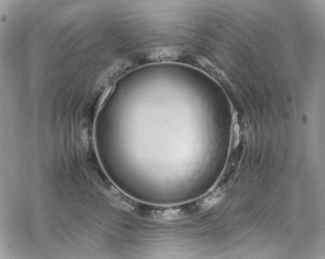 X0000070380716200606121253