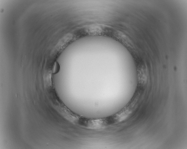 X0000070380717200606121253