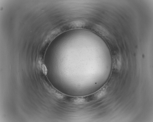 X0000070380718200606121253