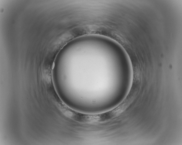 X0000070380719200606121253