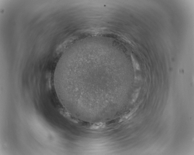 X0000070380720200606121253