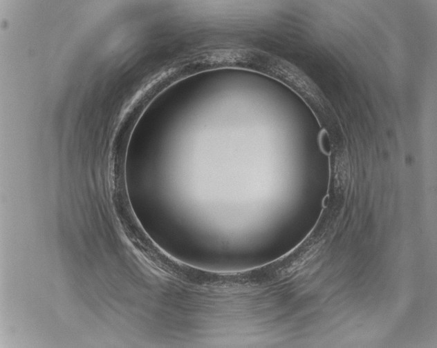 X0000070380722200606121252