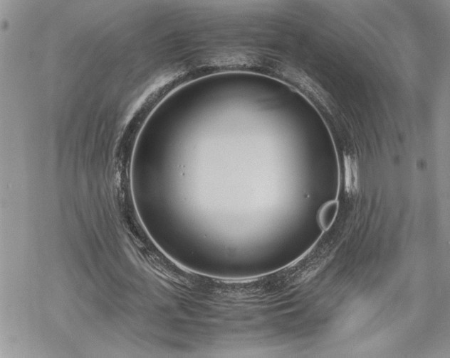 X0000070380723200606121252