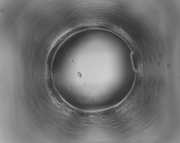 X0000070380724200606121252